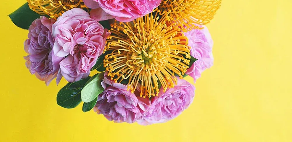 A Color Story v3.11.5 MOD APK (Premium Unlocked)