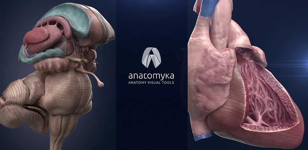 Anatomyka Atlas v3.3.0 MOD APK (Premium Unlocked)