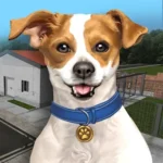 Animal Shelter Simulator v1.382 MOD APK (Unlimited Money)