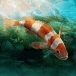 Aquarium Designer v1.0.0 MOD APK (Unlimited Money)