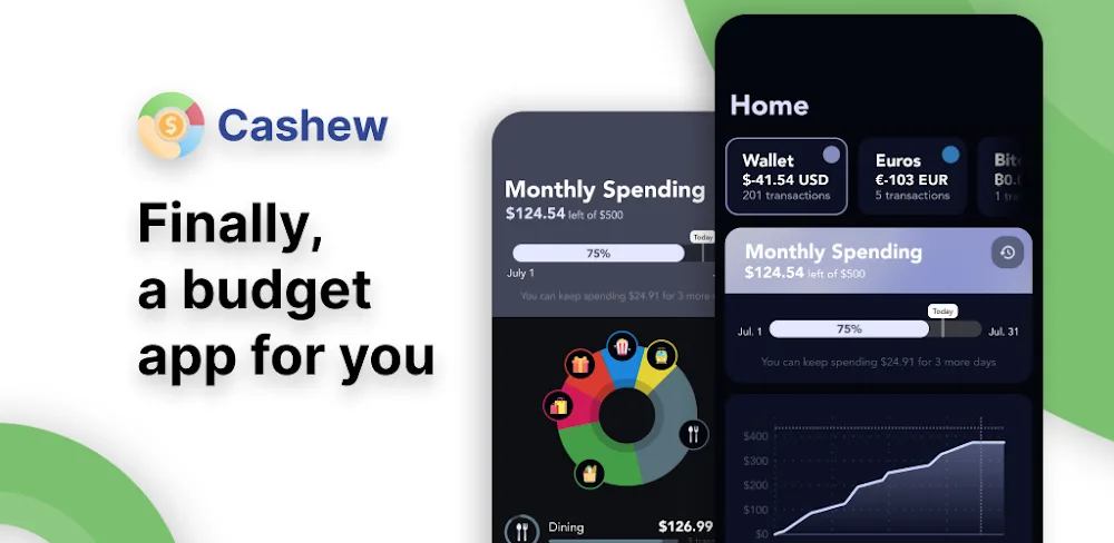 Cashew Budget Planner v5.4.4 MOD APK (Premium Unlocked)