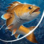 Fishing Hook v2.6.8 MOD APK (Unlimited Money)