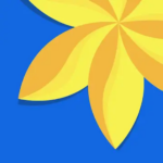 XGallery v2.0.6 APK + MOD (Premium Unlocked)