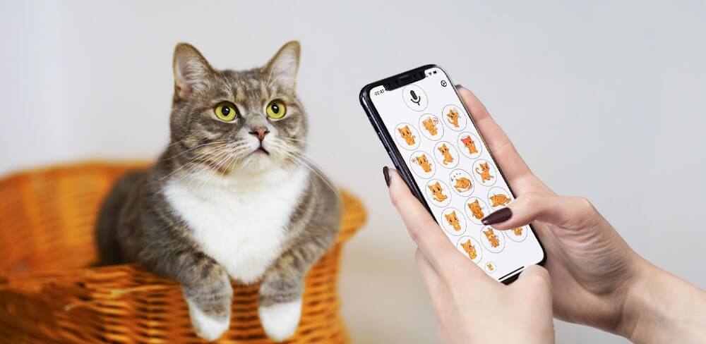 Human to Cat Translator MOD APK v1.0.24 (Premium Unlocked)