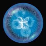 Osmos v2.8.3 APK (Unlocked Game)