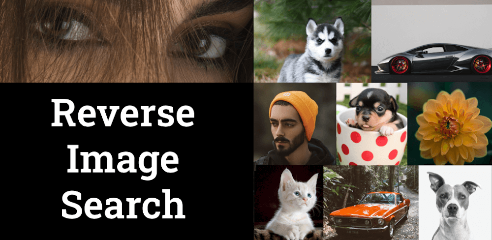 Photo Sherlock v1.131 MOD APK (Premium Unlocked)