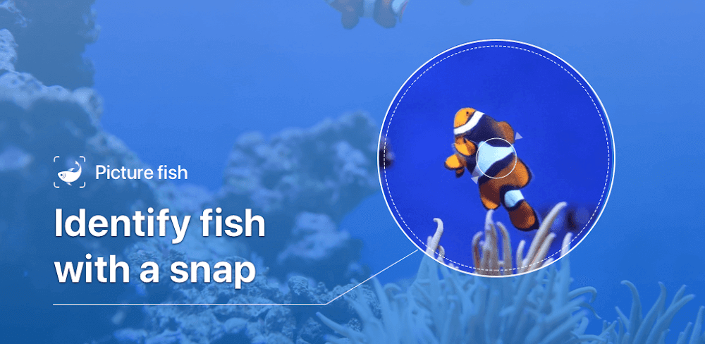 Picture Fish – Fish Identifier v2.4.23 MOD APK (Premium Unlocked)