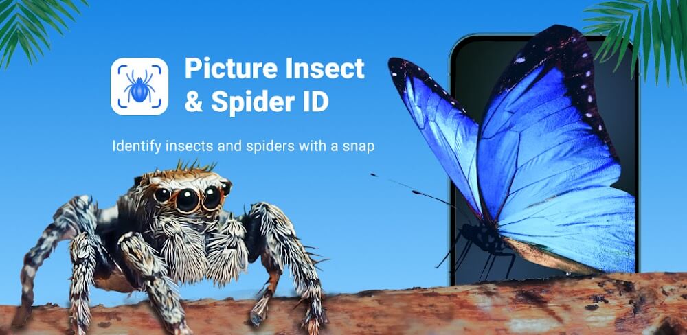 Picture Insect: Bug Identifier v2.9.0 MOD APK (Premium Unlocked)