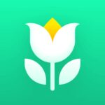 Plant Parent v1.104 MOD APK (Premium Unlocked)