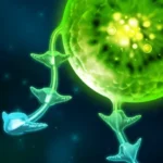 Tentacle Wars v2.1.25 MOD APK (Unlimited Diamonds)