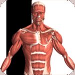 Visual Anatomy 2 v0 b43 APK (Full Version)