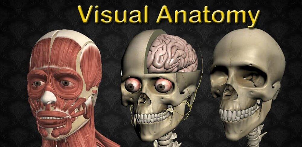 Visual Anatomy 2 v0 b43 APK (Full Version)
