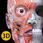 Anatomy 3D Atlas v7.0.6 MOD APK (Premium Unlocked)