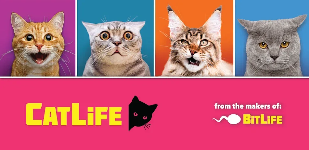 BitLife Cats – CatLife v1.8.5 MOD APK (No ADS)