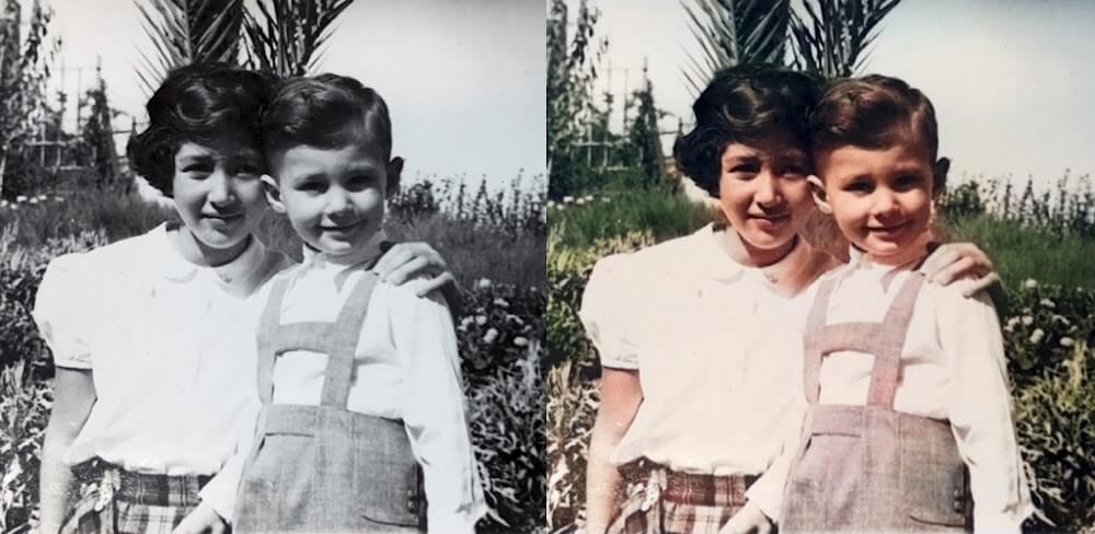 Colorize v3.10 APK + MOD (Premium Unlocked)