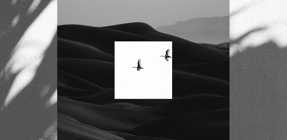 EPIK – Photo Editor v6.5.40 MOD APK (Premium Unlocked)