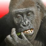 Flying Gorilla v5.0.8 MOD APK (Free Rewards)