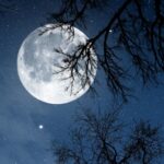 Relax Night v6.1.3 MOD APK (Premium Unlocked)