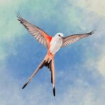 Wingspan: The Board Game v1.7.916 MOD APK (Unlocked)