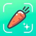 Nutrilio Food Tracker & Water v1.19.3 MOD APK (Premium Unlocked)