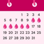 Period Tracker Ovulation Cycle v1.8.0 MOD APK (Premium Unlocked)