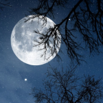 Relax Night v6.2.0 MOD APK (Premium Unlocked)