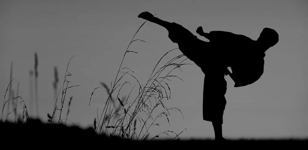 Flexibility for Fighters v2.24.google MOD APK (Premium Unlocked)