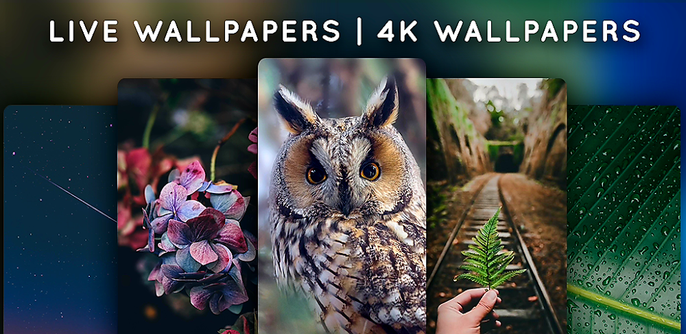 Live Wallpapers v5.7.1.1 MOD APK (Premium Unlocked)