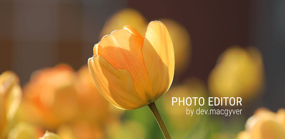 Photo Editor v12.7 MOD APK (Pro Unlocked)
