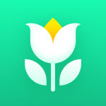Plant Parent v1.105 MOD APK (Premium Unlocked)