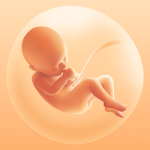 Pregnancy Tracker v3.153.1 MOD APK (Premium Unlocked)