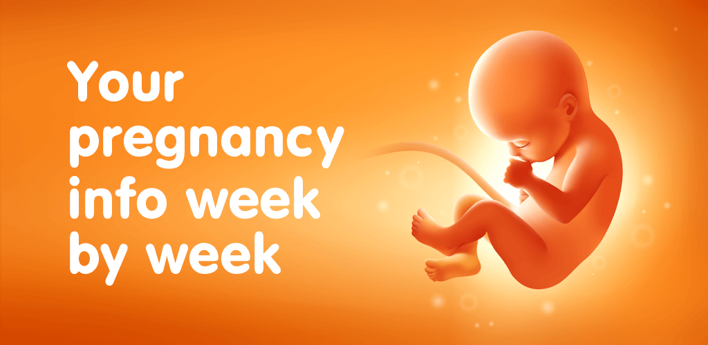 Pregnancy Tracker v3.153.1 MOD APK (Premium Unlocked)