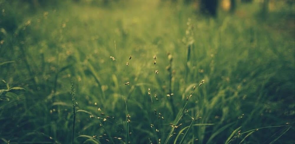 Wallcraft v3.61.01 MOD APK (Subscribed Unlocked)